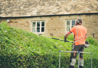 The benefits of a regular grounds maintenance contract