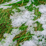 7 tips to prepare your garden for winter
