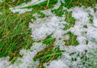 7 tips to prepare your garden for winter