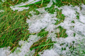 Winter-Proofing Your Garden: 7 tips to prepare your garden for winter!