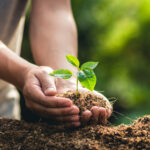 Commercial Groundcare