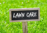 Achieving a green Lawn